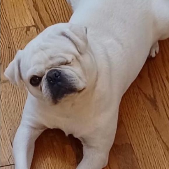 Meet your Posher, Marina - Picture 2 of 4